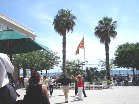 Sardanes de Sant isidre 2008